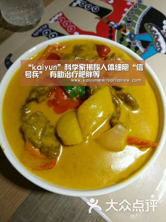 开云在线登入