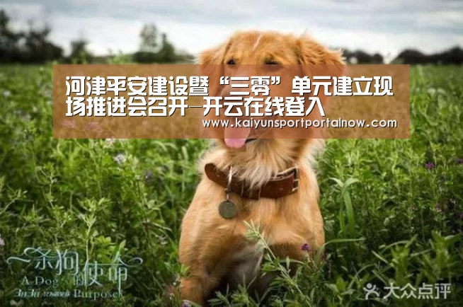河津平安建设暨“三零”单元建立现场推进会召开-开云在线登入(图1) 开云官网