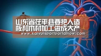 山东省茌平县要把人造板和木材加工做成大产业【开云在线登入】(图2) 开云官方登录