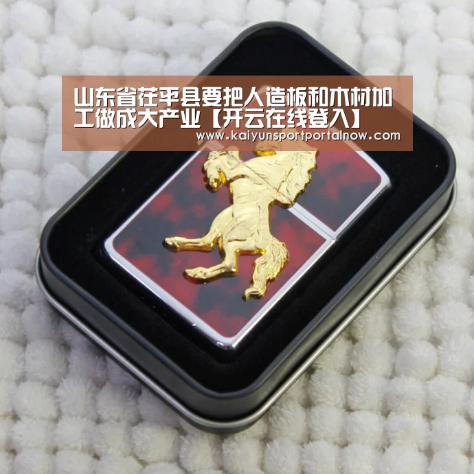 山东省茌平县要把人造板和木材加工做成大产业【开云在线登入】(图4) 开云官方登录